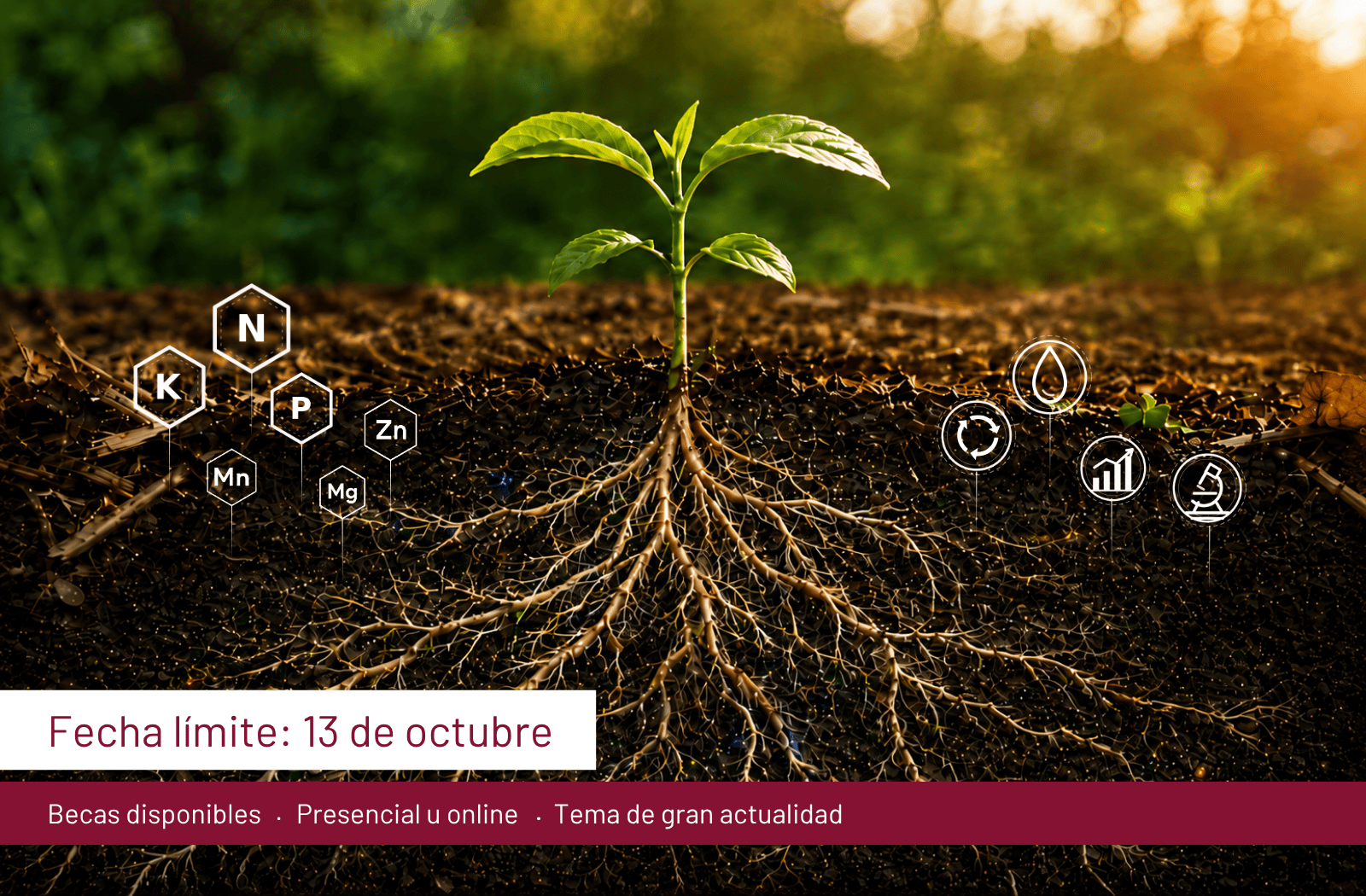 Gestión Integrada de Nutrientes: retos actuales y oportunidades de futuro